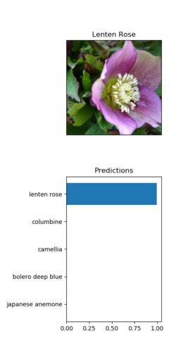 Flower with prediction